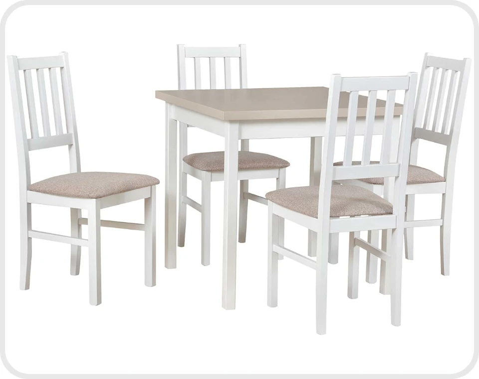 Tisch ALBA 1 + Stühle NILO 10