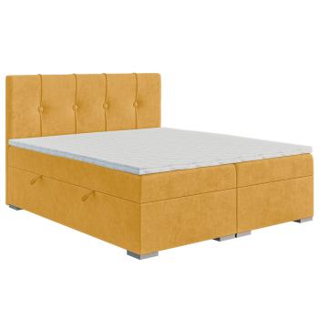 laverto-rule-rulez-140-160-magicvelvet-2215-4