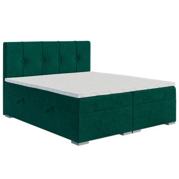 laverto-rule-rulez-140-160-magicvelvet-2225-4
